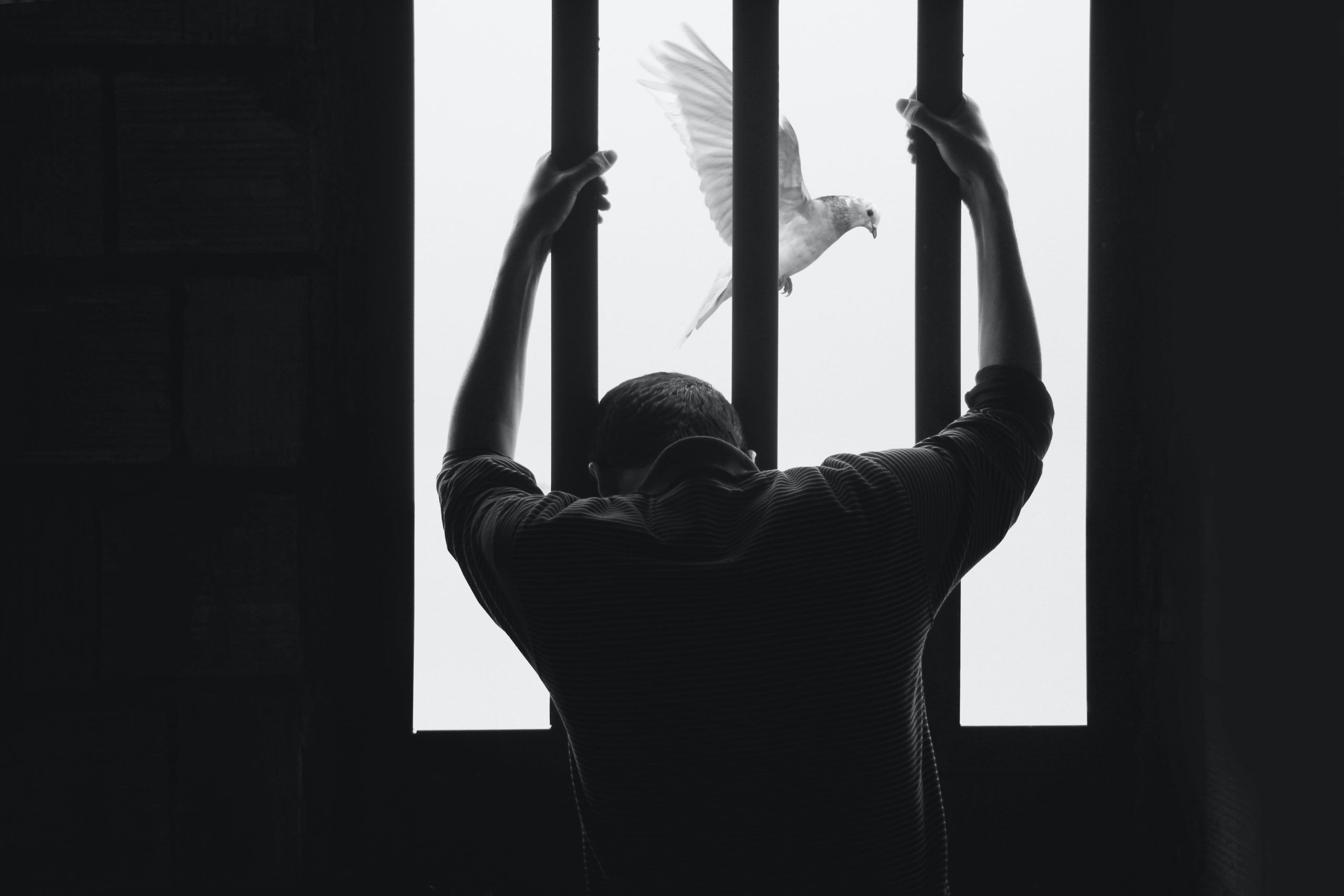 libertad 2